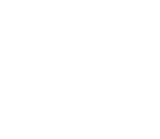 mindology-logo-white Mindology Logo